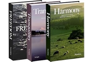 3 Pack Decorative Faux Books Set for Home Aesthetic - Luyseyha Fake Hollow Books Decor for Bookshelf Coffee Table, Living Room, Bedroom