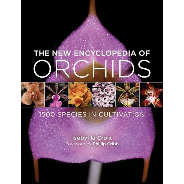『ORCHIDS』ALEC PRIDGEON The Illustrated Encyclopedia of Orchids: Pridgeon, Alec