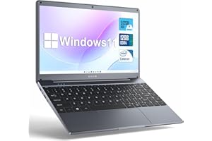 SGIN 14 Pollici PC Portatile 12GB RAM 512GB SSD 11 Home System Notebook, Celeron N, Up to 2.8Ghz, HD, 2.4/5.0G WiFi, Bluetooth 4.2, Supporta memoria espandibile 512 GB TF