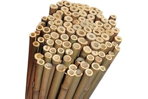 Elixir Gardens Strong Heavy Duty Professional Bamboo Plant Support Garden Canes | All lengths in stock 2, 3, 4, 5, 6, 7 & 8ft | Choose from a range of pack sizes from 10 to 250 | 4ft x 10