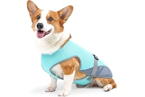 JODSEN Dog Cooling Vest,Dogs Cooling Jacket,Safe Coat for Summer Sun Protection,Breathable Mesh Ice Vest,Dog Clothes Cool Jackets with Adjustable Straps for Medium,Large Dogs