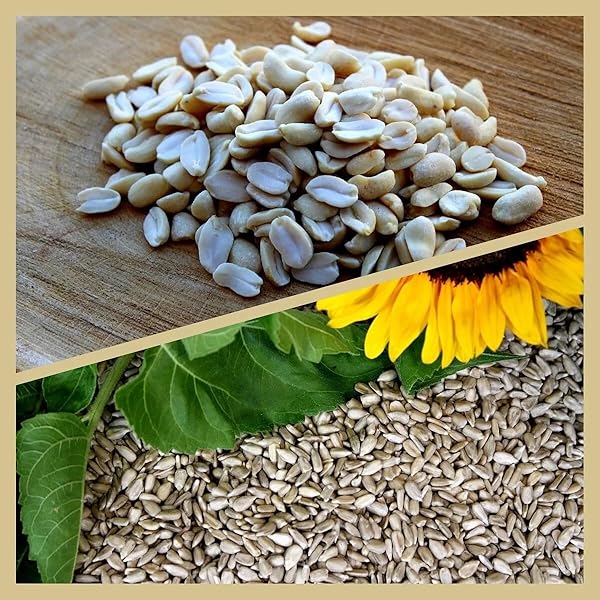 Matimels Erdnusskerne Für Vögel - 5 Kg Blanchierte Erdnüsse Vogelfutter