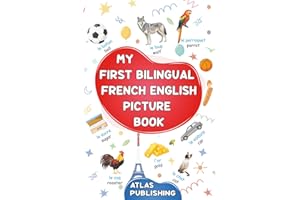 My first bilingual French English picture book: 500 words in the French language - A visual dictionary with illustrated words on everyday themes - Learn French vocabulary for kids and beginner adults
