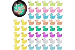 YEJAHY Lot de 50 mini canards lumineux en résine - Figurines miniatures colorées pour jardin, paysage, maison de poupée, décoration, loisirs créatifs, décoration d'intérieur (9 couleurs)