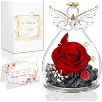 Qinqinxin Rosa Stabilizzata Vera in Angelo di Vetro - Regalo per Mamma, Nonna, Moglie, Fidanzata - Festa della Mamma, San Valentino, Anniversario di Matrimonio, Compleanno