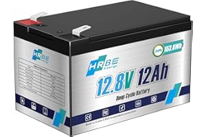 HRBEENERGY 12V 12AH LiFePO4 Batterie Wiederaufladbare Lithium Akku, Eingebauter Stabiler 12A BMS Schutz, 2000+ Tiefe Zyklen, Perfekt für Kleine Backup-USV, Spielzeug, Beleuchtung, Alarmanlage, Kamera