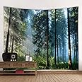 (200cm L 150cm W, Morning Forest) - Llamazing Forest Tapestry Home Decor Landscape Tapestry Living Room Bedroom Decoration Tapestry Magic Tapestry Curtain (Morning Forest, 200cm L 150cm W)