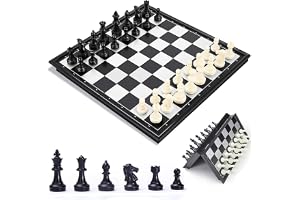 Chess Board Set Game, Magnetic Chess Piece Set with Chess Folding/Portable Storage Board, Traditional Game, Educational Toys for Kids/Children/Adults Gift (Black/White, 25x25x2cm)