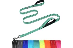 VIVAGLORY Guinzaglio per Cane con Manico di Traffico, Guinzaglio per Cane con Due Manici Morbidi Imbottiti, Guinzaglio da Addestramento Riflettente e Gancio in Metallo, Turchese