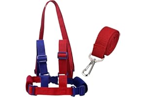 Ehuihuan Kinder Sicherheitsleine, Anschnallgurt Schutz Kinder, Sicherheitsleinen FüR Kinder, Kindersicherheitsgurt, Kindergurt für Steh - und Lauflernhilfen-120cm