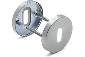 GENERIC Schlüsselrosette edelstahl matt Türrosette APECS für Innentüren und Außentüren Profilzylinder | Buntbart, Silber