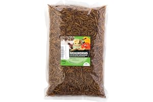 UGF UNDERGROUND FOOD UGF - Vers de farine séchés de qualité supérieure - 250 g - Pour oiseaux, hamsters, hérissons, rongeurs, lézards, tortues - Sans conservateur ni colorant