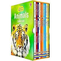 Usborne Beginners Boxset Our World: Amazon.co.uk: Various