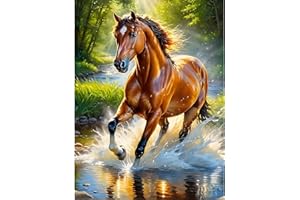 DPIDEA Diamond Painting Caballo, 5D Diamond Painting para Adultos Pintura de diamante, Kit de pintura con diamantes para la Decoración 30x40 cm
