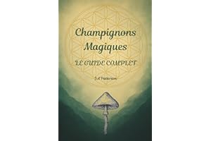 Champignons Magiques: Le guide complet
