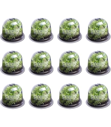 HonGien Lot De 10 Cloches De Protection En Fil De Fer Pour