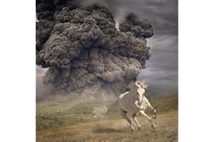 Year Of The Dark Horse