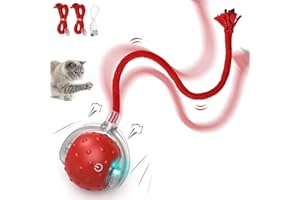 PUHOHUN Jeu de Jouets de Chat interactif, Engager des Jouets de Chat Mobiles pour Les Chats intérieurs Adultes-simuler Les appels d’Oiseaux, USB Rechargeable.