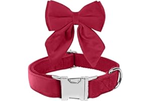 KTWSUEF Collare Cane, papillon cane Collare per Cani Velluto, Collare per Cani Comodo Resistente, Papillon per Cani Rimovibile Regolabile, Per Matrimoni, Compleanni, Eventi Festivi