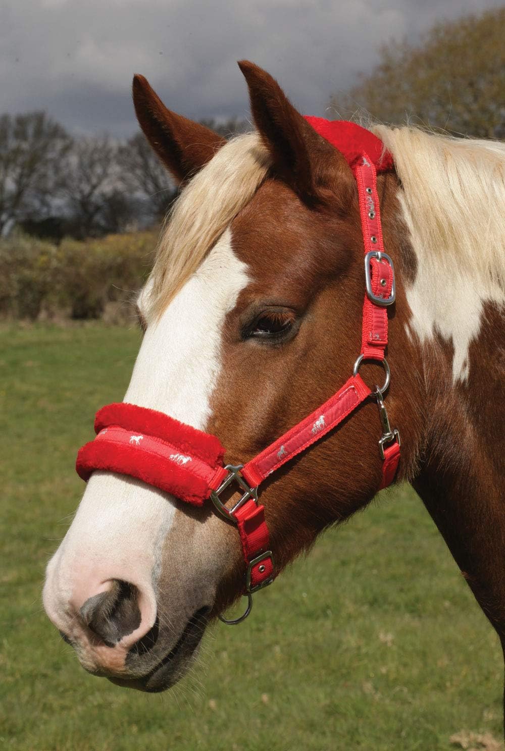 Rhinegold Cabestreo de Caballo Acolchado de Nailon Azul Liso con Logotipo de Caballo Plateado