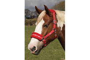 Rhinegold Logo Licol en Polaire