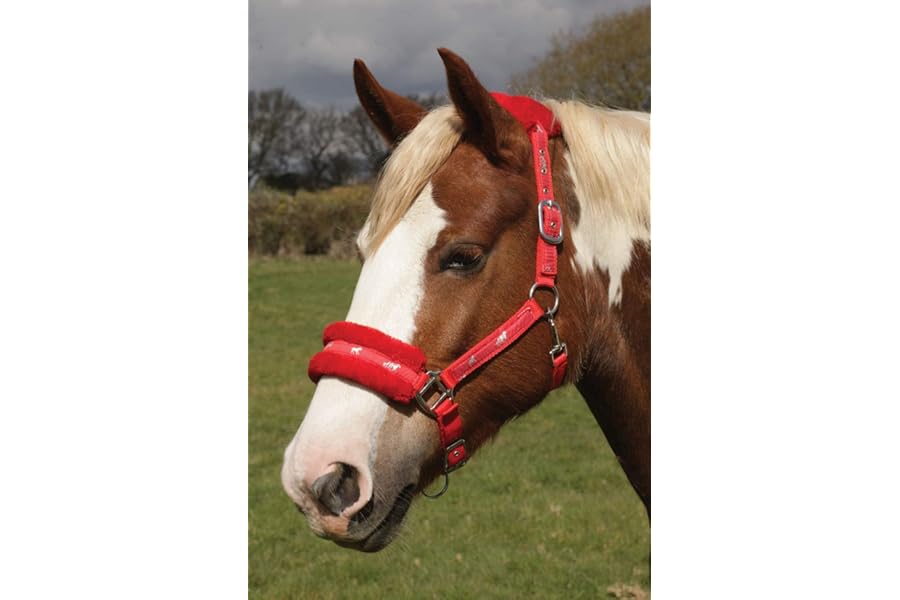 Rhinegold Logo Headcollar fleece trim