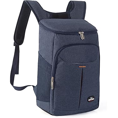 Bestseller Abnehmbare 4 Personen Isolierte Picknick-Kühltasche Outdoor Family Ca