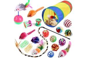 WEFINE 20 Pcs Cat Toys for Indoor Kitten, Collapsible Tunnel, Interactive Feather Wand Ball Spring Mice Toy for Puppy Kitty