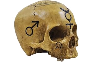 FIESTA STUDIOS Skull Witchcraft Skull Decorative Figurine