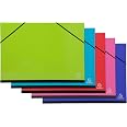 Lot 5 Cartons à Dessin Exacompta Iderama A3 - Avec élastiques, Dos Toilé, Couleurs Assorties