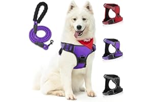 SIBOTER Pettorina Cane, Pettorina Cane Taglia Media Regolabile, Traspirante Pettorina Cane Taglia Grande con Guinzaglio, Pettorina Antifuga Cane per la Corsa, Passeggiate, Jogging (M, Viola)