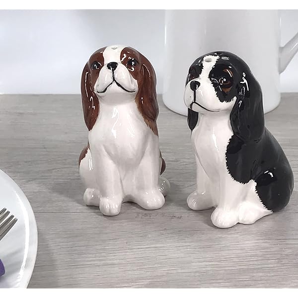 Tableau Jardin Portrait D'un épagneul Cavalier King Charles - Noir Et Blanc 60x80 Cm Affiche Jardin