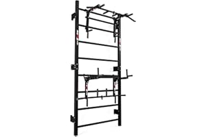 K-Sport: Kit d'entraînement - Espalier avec station de dip et barre de traction I Station de musculation I Barre de dip pour les entraînements exigeants I Équipements de fitness, eBook inclus