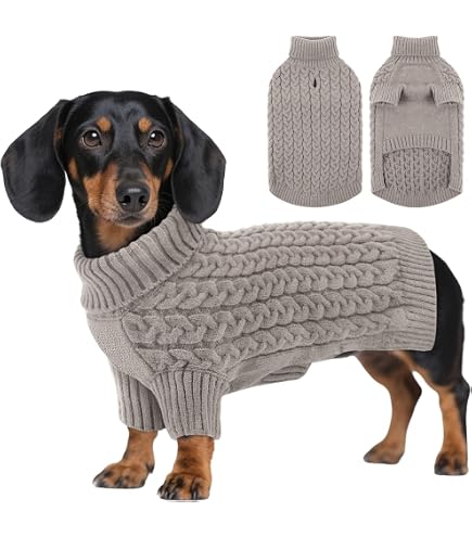 Hund Hoodie Boss Druck – Warmer Fleece-Pullover Mit Kapuze Für Kleine Hunde/Katzen