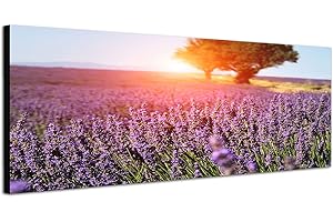 PAUL SINUS ART Lavendel Feld Provence Frankreich 150x50cm Breitbild als Panorama auf Leinwand und Keilrahmen fertig zum aufhängen - Unsere Breitbild als Panoramaer auf Leinwand bestechen durch ihre ungewöhnlichen Formate und dem extrem detaillierten Druck aus bis zu 100 Megapixel hoch aufgelösten Panoramafotos. Damit garantieren unsere Bilder einen fantastischen Bildeindruck, leuchtende Farben und gestochen scharfe Details. Qualität aus Deutschland