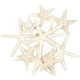 Yixuan 10PCS Starfish Starfish Natural Starfish Decoration Mould Starfish Wedding Decoration/Beach Theme Party/Home Decoratio