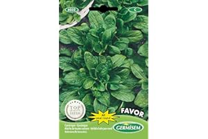 Germisem graines Mâche de toutes saisons Favor EC6032 Multicolore