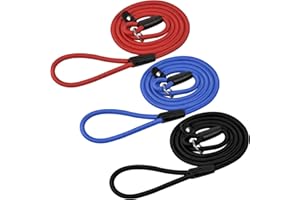 Jinlaili 3 Pezzi Guinzaglio Sottile per Cani Taglia Piccola, Guinzaglio Collare in Nylon per Cani, Regolabile Guinzaglio Retriever, Addestramento Guinzaglio de Cane per Cuccioli (Nero+Rosso+Blu)
