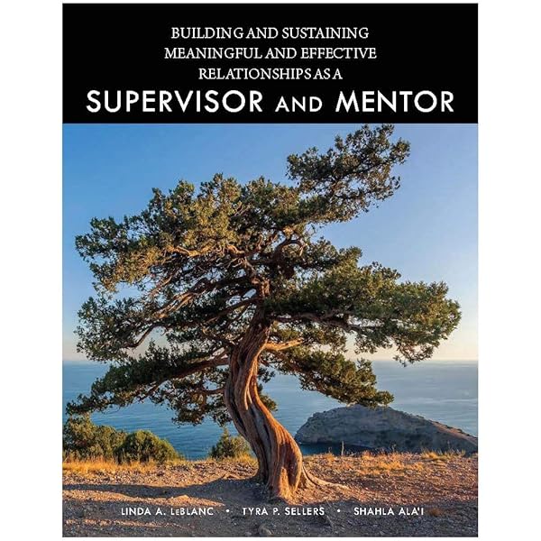 Buy Naturalistic Developmental Behavioral Interventions for Autism