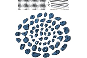 ALPIDEX 60 Prises d'escalade | Vis, Écrous Frapper Inclus | Surface d'escalade 4-8 m² | Tailles L, M, S, XS | Set Complet De Démarrage | Poignées Escalade