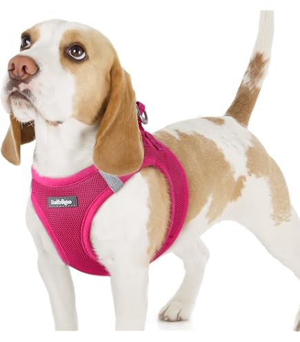 Doggie Design Venture Paw No Pull Hundegeschirr – Verstellbar, Atmungsaktiv, Für Mittelgroße Hunde