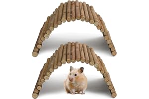Godneei 2er Set Weidenbrücke, Natürliches Zwerghamster Zubehör, Hamster Spielzeug, Schildkröten Gehege und Meerschweinchen Zubehoer, Flexibles Hasen Zubehör und Ratten Zubehör aus Holz, 23 x 12 cm