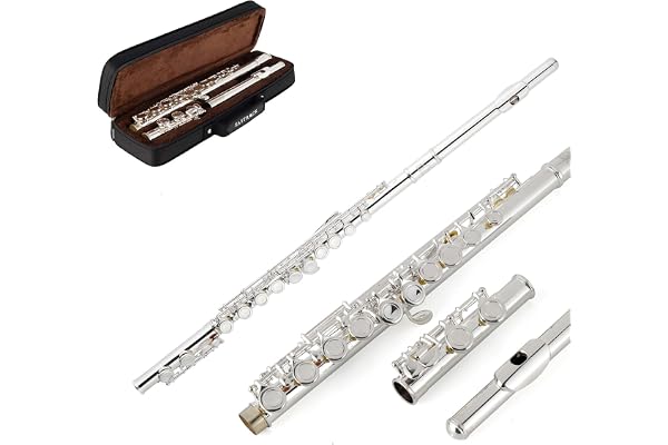 Eastrock Flûtes Traversière à Trous Fermés, Flûtes Traversière 16 Trous pour Débutant Adultes, Flûte Traversière en Argente avec Tuning Rod Étui de Transport