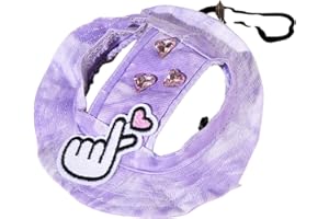 BLUE DREAM ISLAND Chapeau de princesse pour animal de compagnie, casquette ronde avec trou d'oreille, réglable, protection solaire pour chat, chiens de petite et moyenne taille, taille M (violet 2)