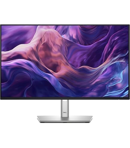 DELL P2422HE 23.8 DELL 2023製 型液晶モニタHDMIType-C 23.8 ディスプレイ・モニター本体