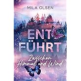 Entführt - Zwischen Himmel und Wind (Entführt: Under Northern Skies, Band 3)