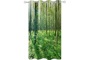 Hiseng 1 Stück Outdoor Vorhänge Wasserdicht Verdunkelungsvorhang mit Ösen, Wald Druck Outdoorvorhänge Wetterfest Sonnenschutz Blickdicht Vorhang für Pavillon (150x166cm,Gras)
