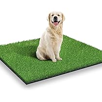 Tappeto Erboso Artificiale Per Cani 50x70 Cm - Area Vasino Per Interni Ed Esterni