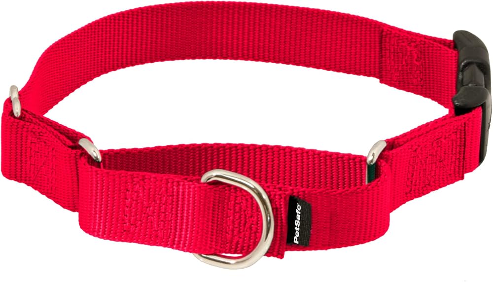 PetSafe Hızlı Kopçalı Martingale Yaka, 3/4" Medium, Kırmızı