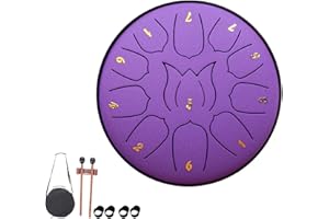 YUCHIFA Rain Drum for Outside Garden, Rain Drum, Steel Tongue Drum Rain Chime,Drum Rain Chime Waterproof,Rain Drum for Garden Instrument,for Camping, Meditation or Yoga (11-tone 6-inch,I)